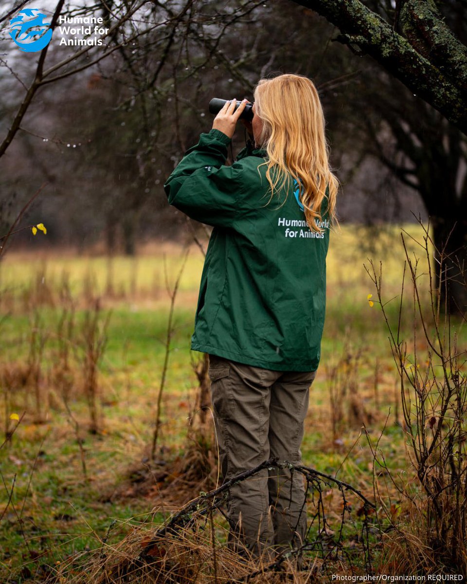 Humane World for Animals Europe tweet media