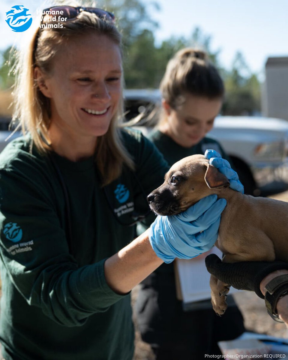 Humane World for Animals Europe tweet media