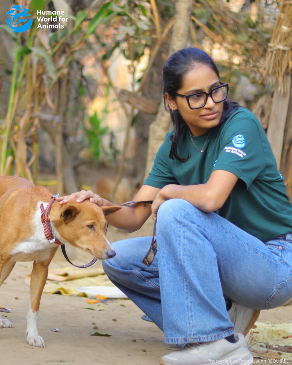 Humane World for Animals Europe tweet media