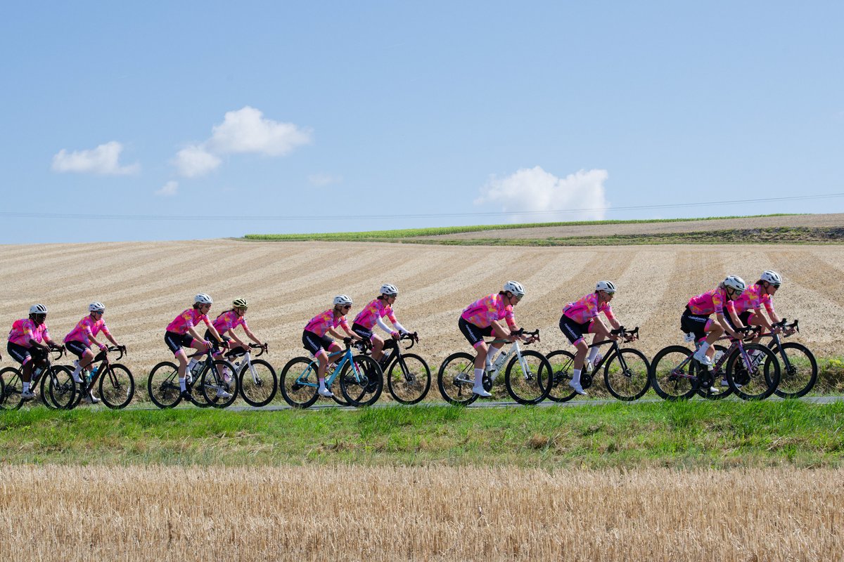 The Route tweet media