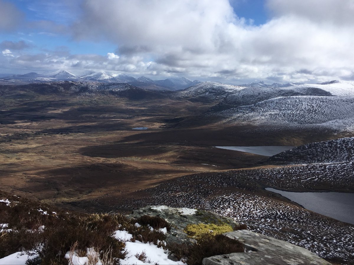 Gerard Sheehy tweet media