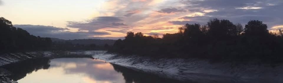 fat girl walking tweet media