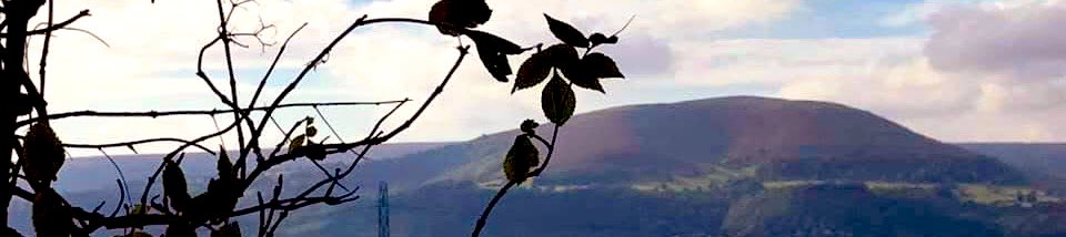 fat girl walking tweet media