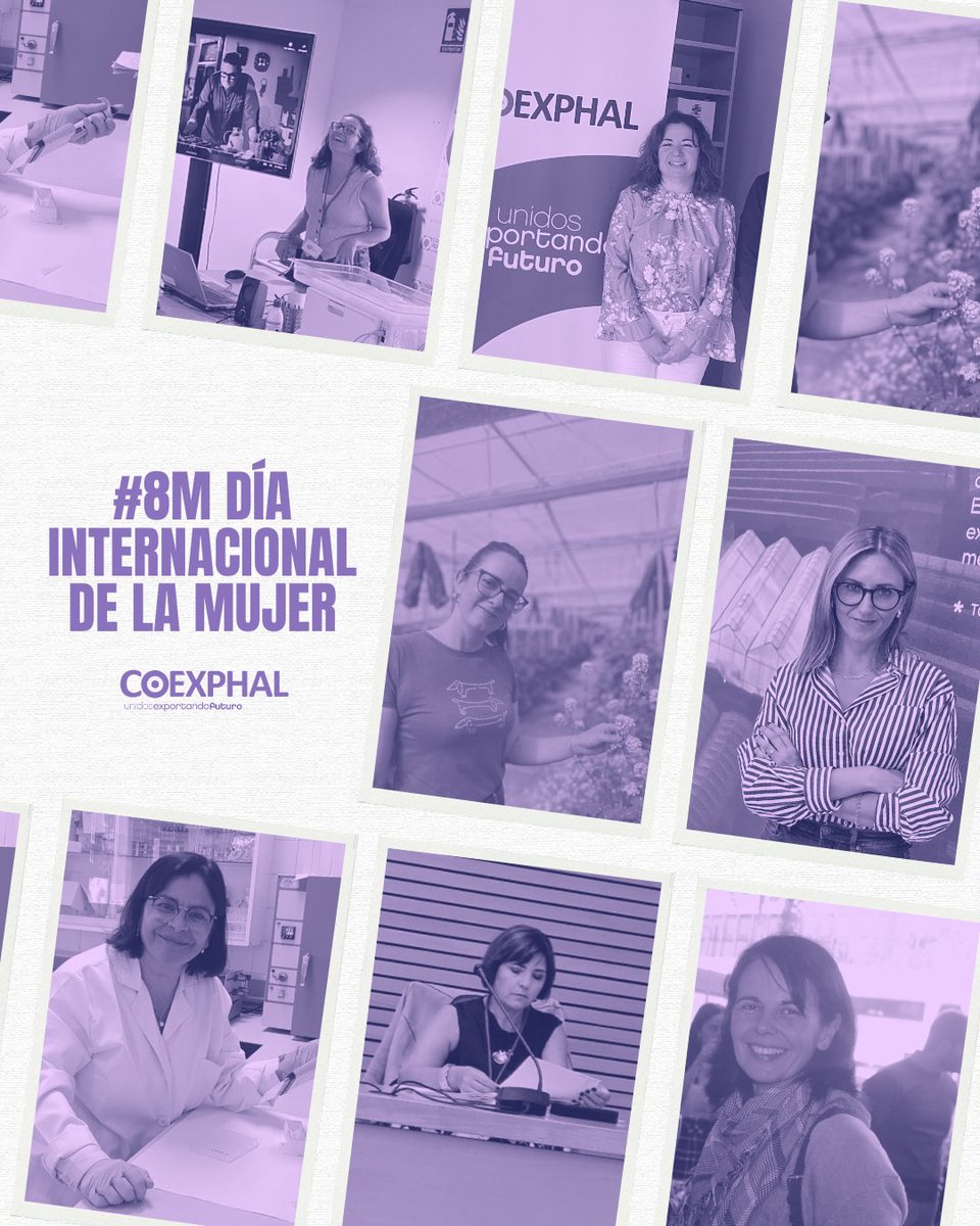 Coexphal tweet media