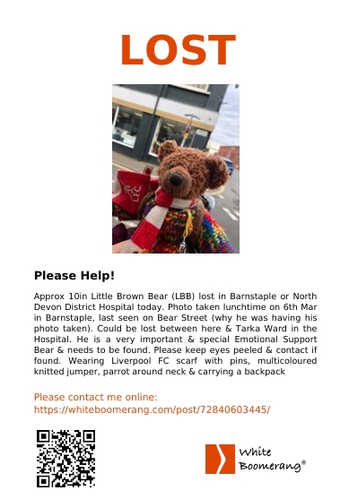 Hanley Bear ⚽️ tweet media