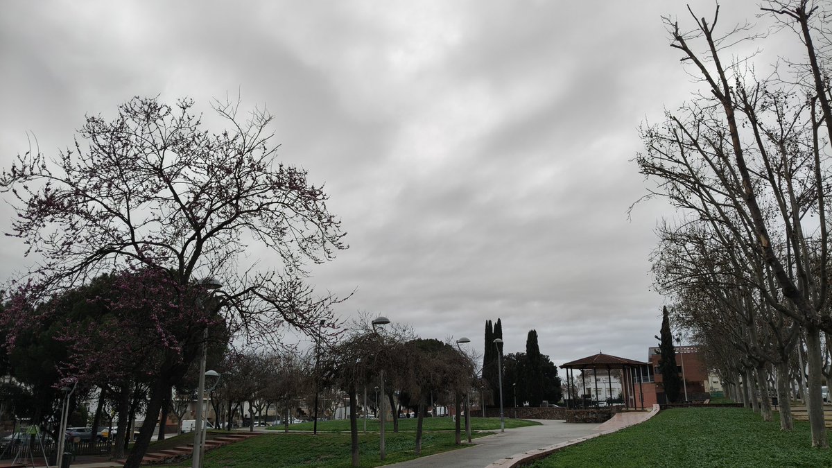 Joan Ramon Mercè tweet media