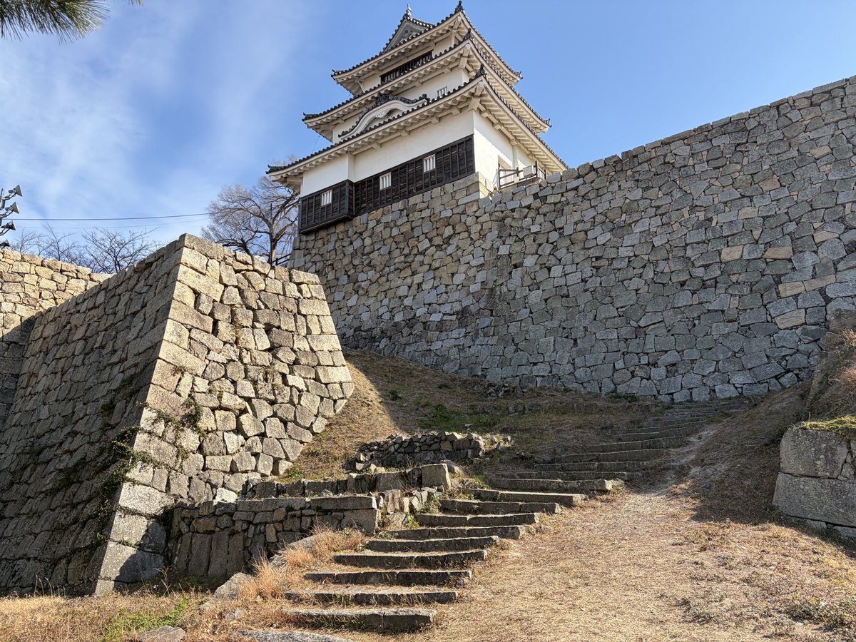 ガンビー（銃蜂） tweet media