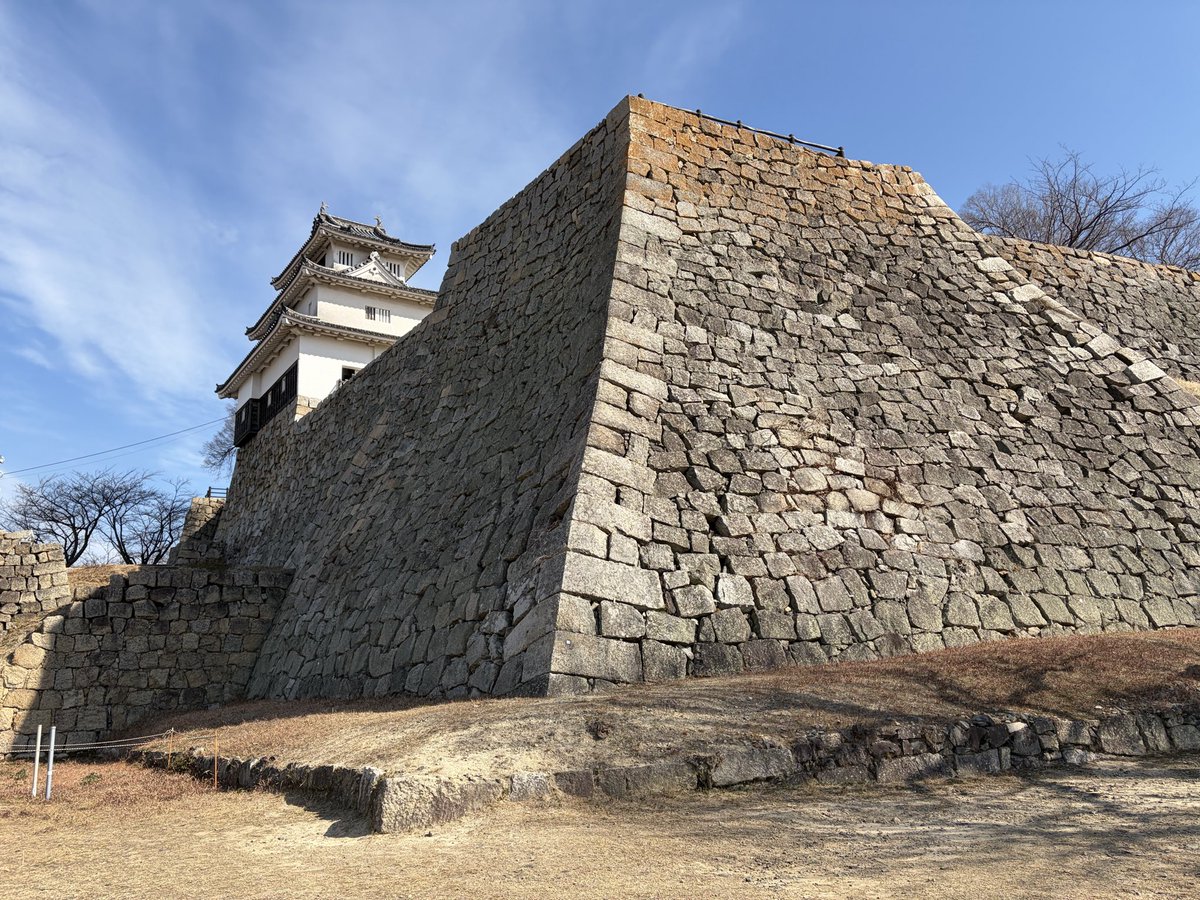 ガンビー（銃蜂） tweet media