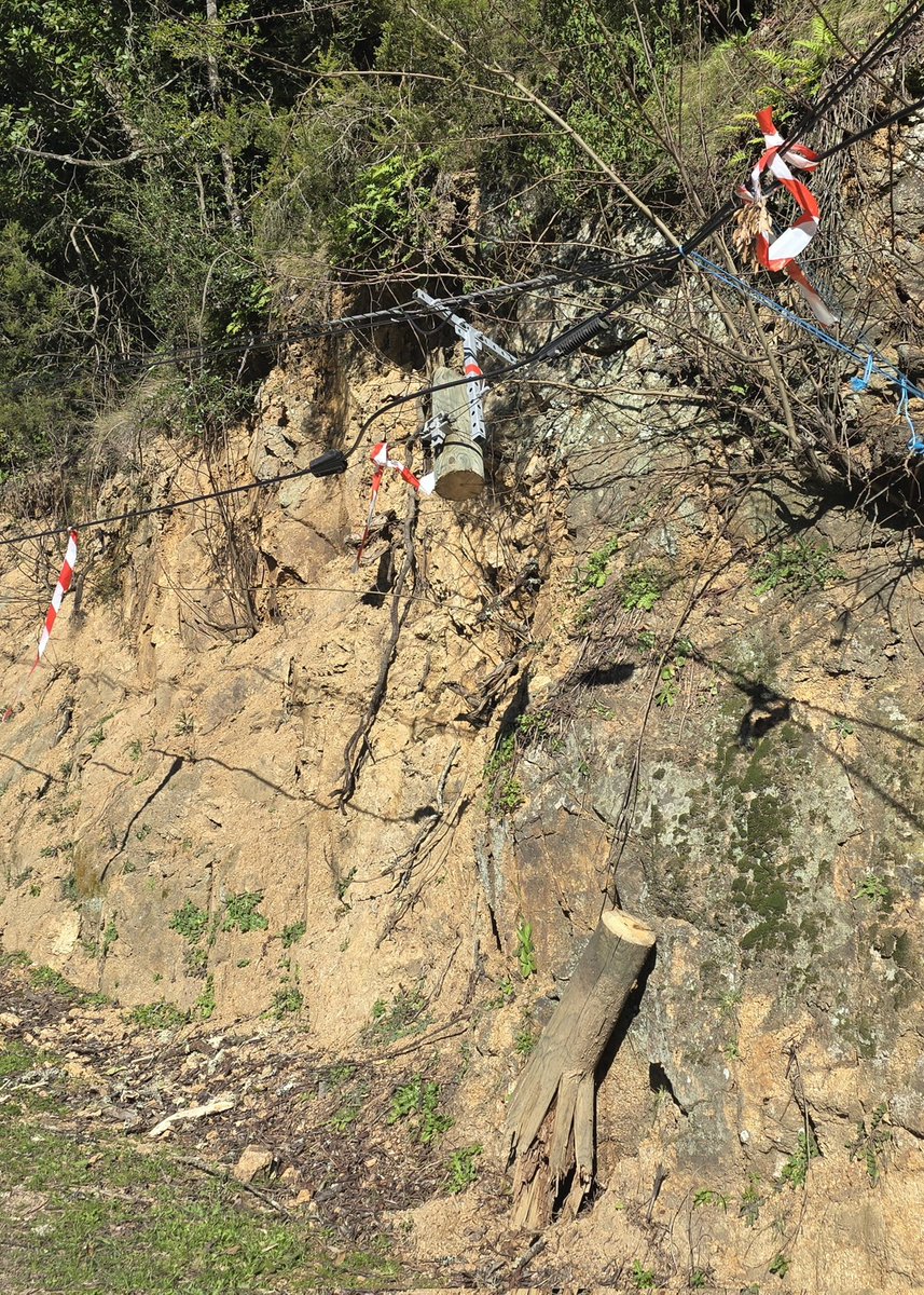 Santu OTTAVI tweet media