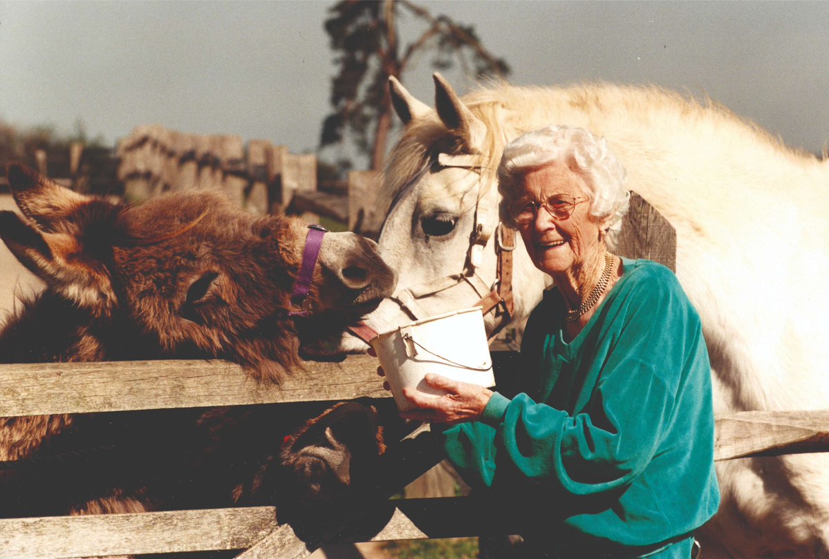 Raystede tweet media