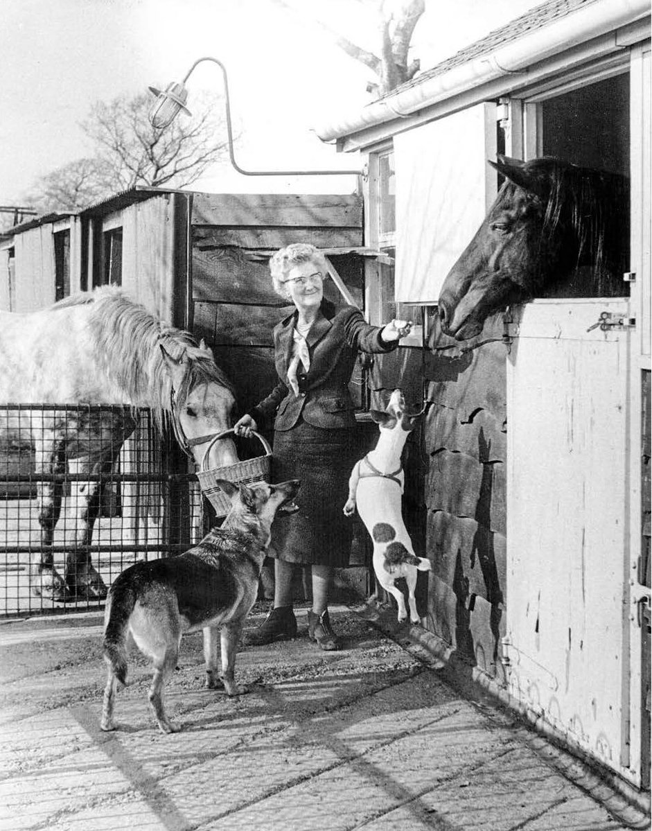 Raystede tweet media