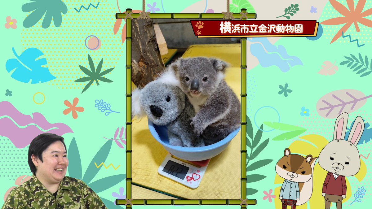 🐿ロペとアニマル🐰 ロペとアキラ先輩と時々やす子さんが毎日かわいい