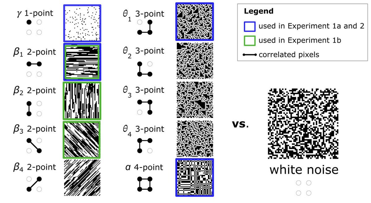 Giorgio Vallortigara tweet media