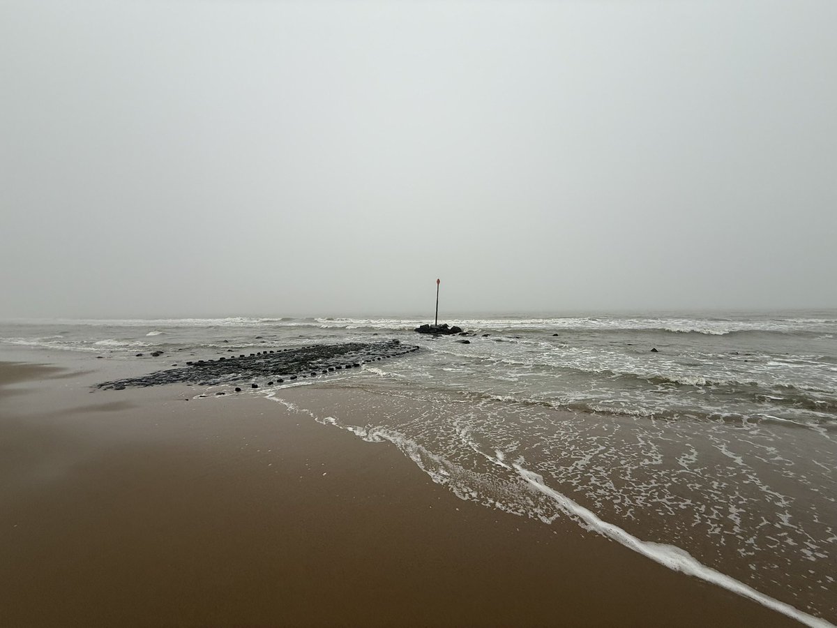 Jeremy Dutch tweet media