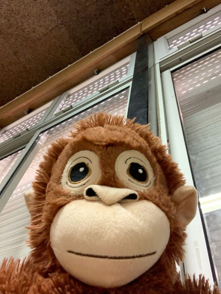 𝐃𝐢𝐩𝐭𝐚 tweet media