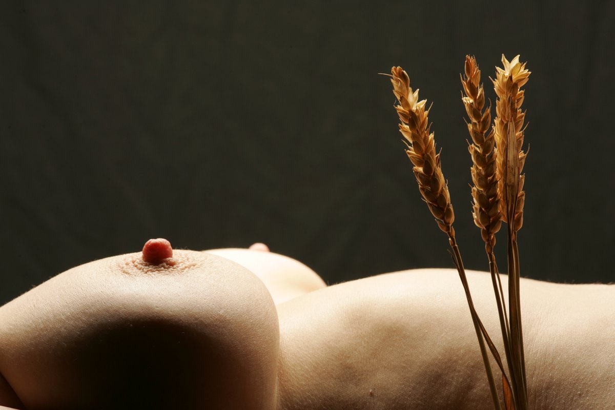 Le Cocu Magnifique tweet media