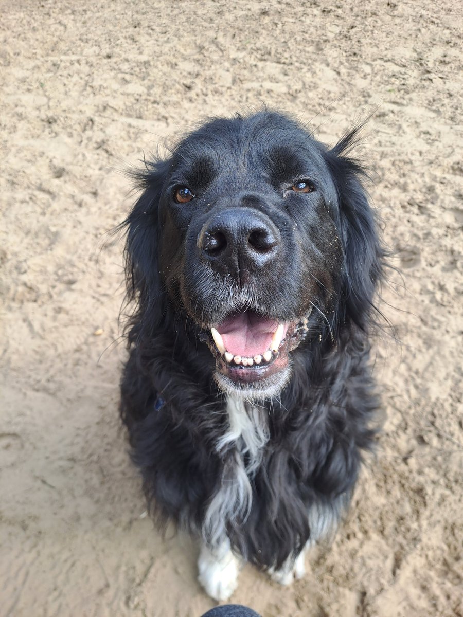 Willeke🐬🌻 tweet media