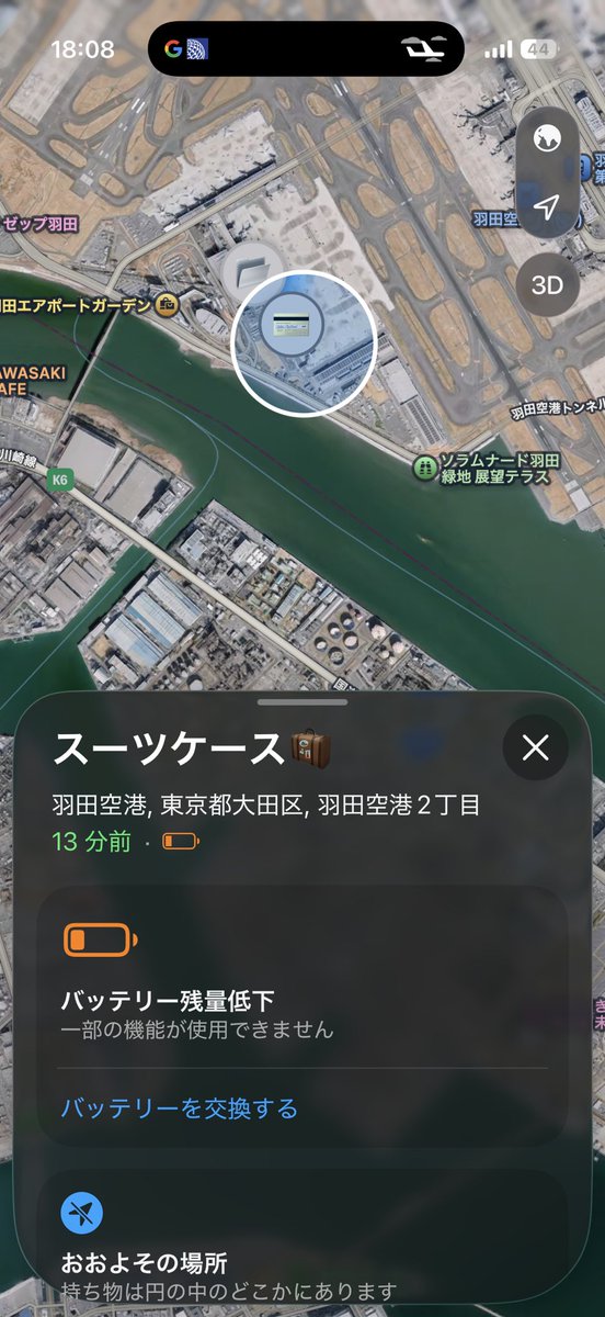 今回はちゃんといる😆
