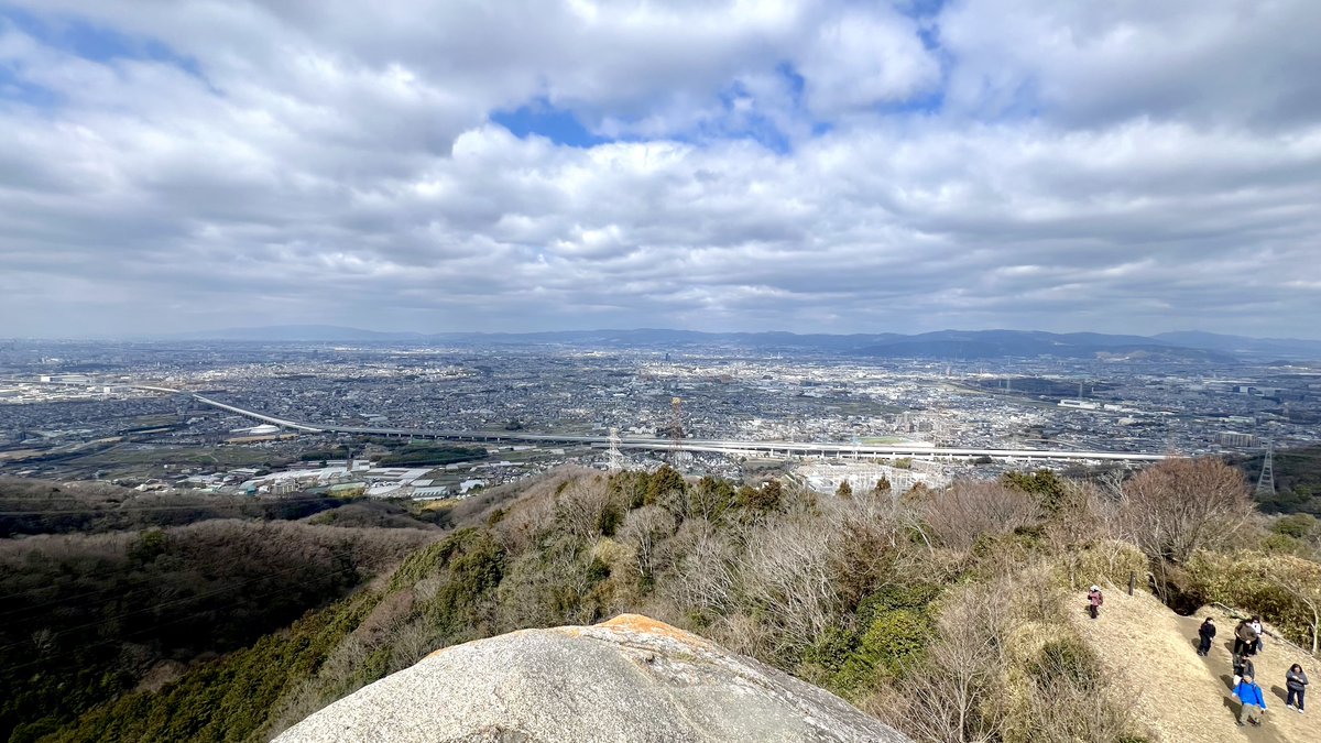 ぼたんゆり/りんご tweet media