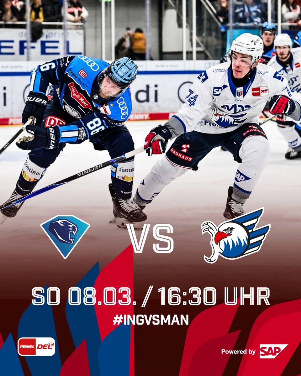 Adler Mannheim tweet media
