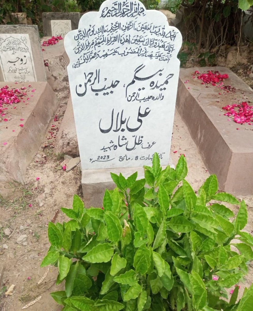 waqasjbutt804's tweet image. شہید ظل شاہ 💔
#ZillehShah