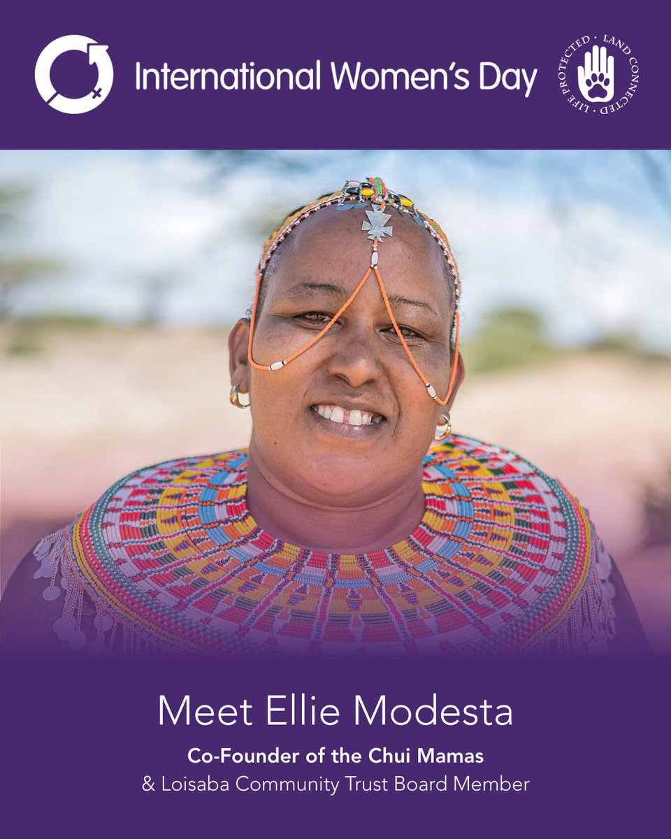 Loisaba Conservancy tweet media