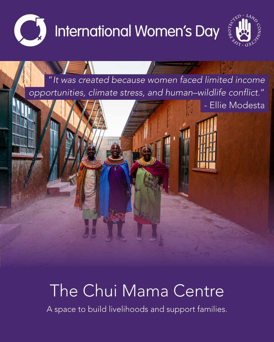 Loisaba Conservancy tweet media