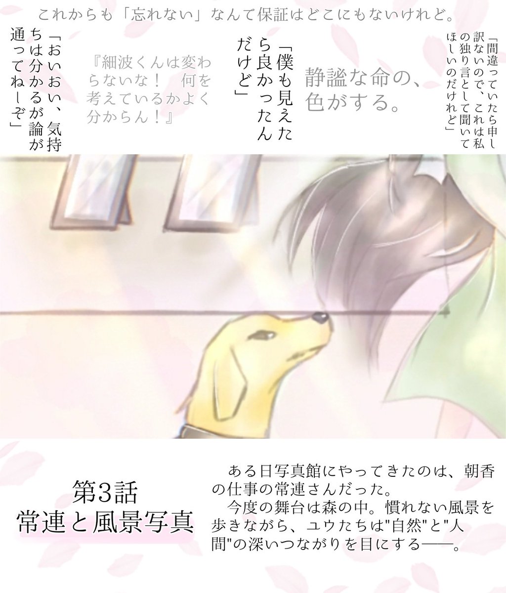 ひとなし✧通販 tweet media