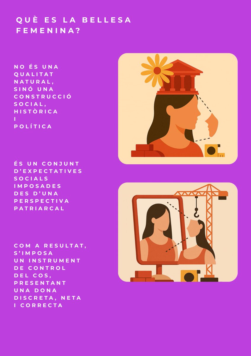 Museu d'Història de Manacor tweet media