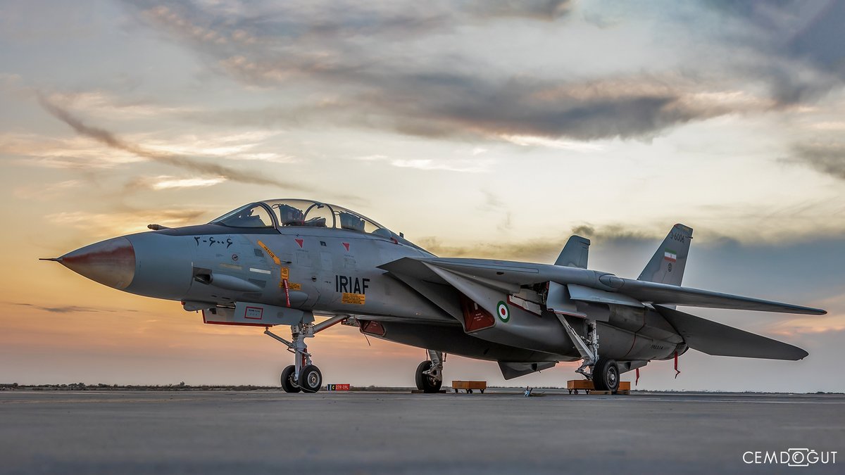 Cem Doğut tweet media