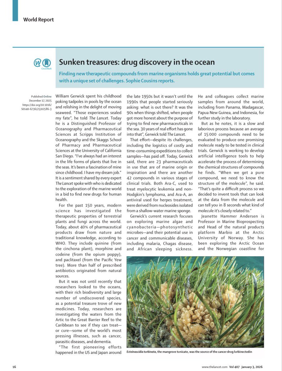 Hemarina tweet media