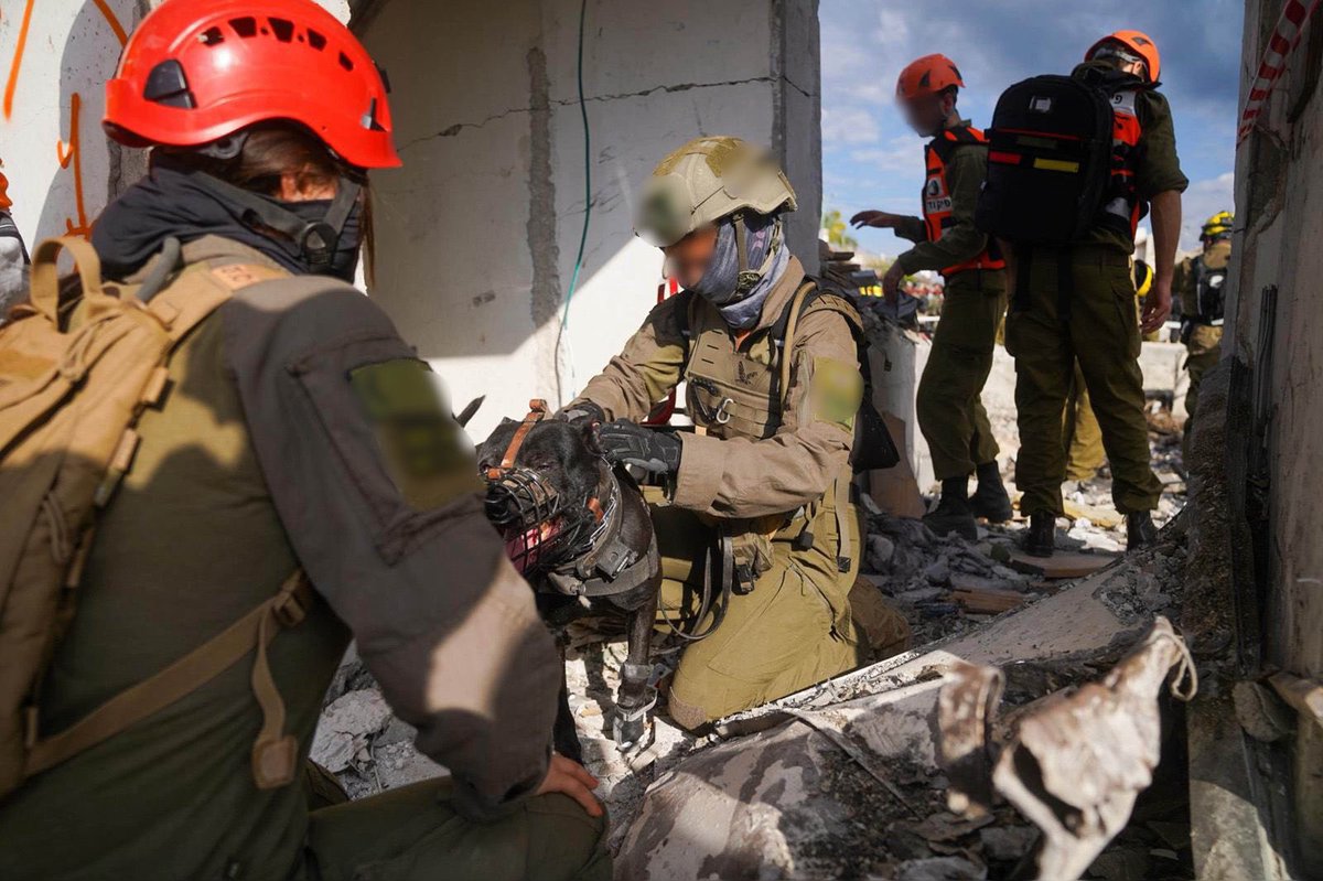 Or Heller אור הלר tweet media