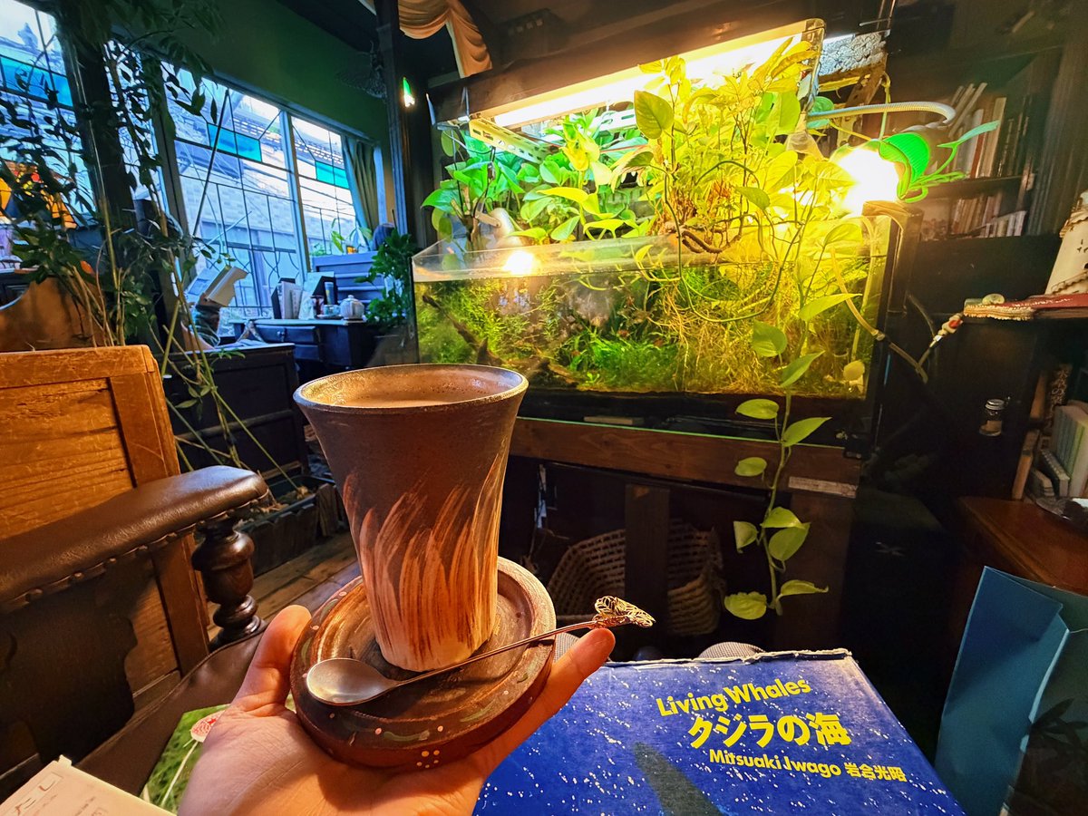 ferdalangurinn's tweet photo. найдено идеальное кафе для уставшего сердцем интроверта:
— разговаривать нельзя; тут царит тишина.
— просят приходить одному.
— огромный выбор книг; вместо музыки — звук переливающейся воды из аквариумов, куча растений, дерева и пёстрых рыбок.
— менять места и сидеть долго — ок! https://t.co/bNJDBt5eBF