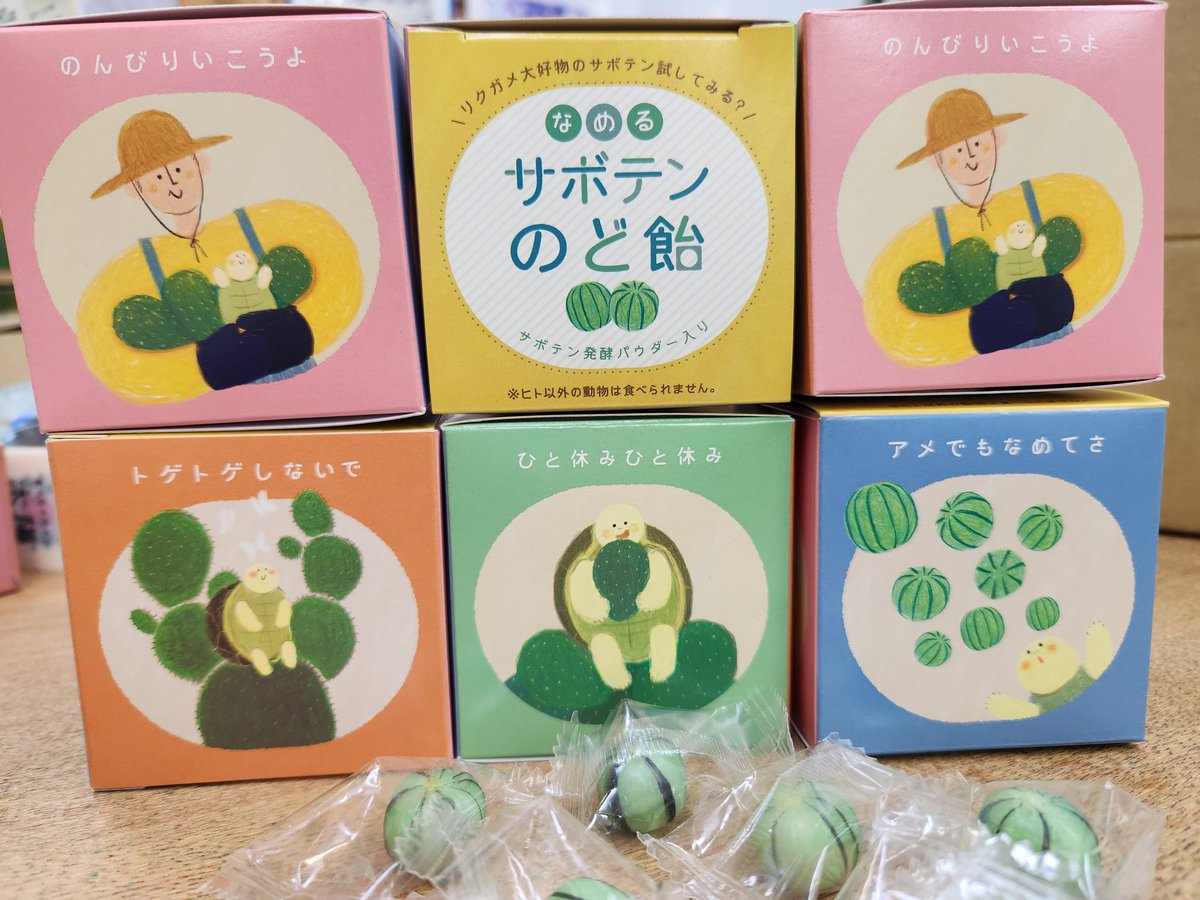 かめはめ葉 tweet media