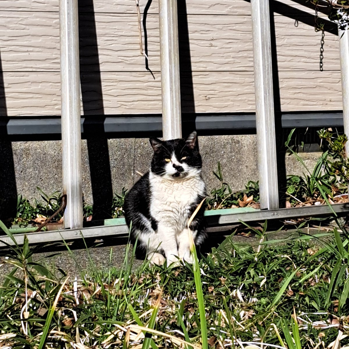 だーかね〜running instructor〜 tweet media