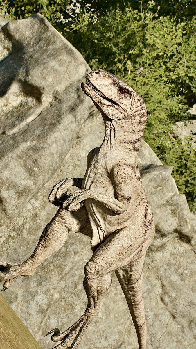 📸－FIRST－📸 tweet media