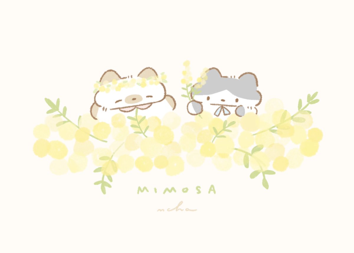 24cm | にじゅうよんせんち (@24cm_am) / Posts / X