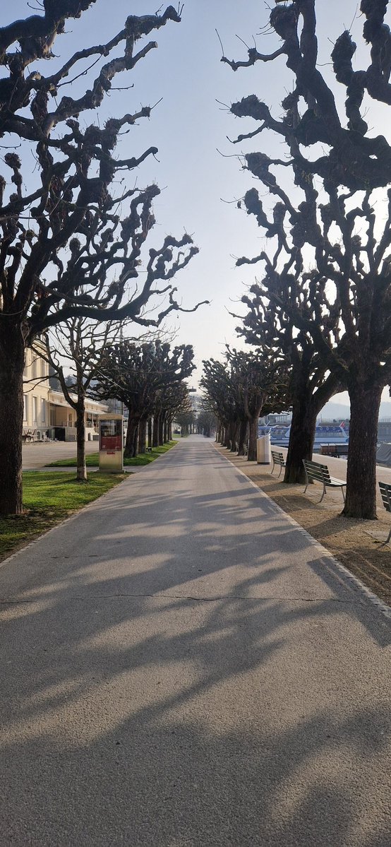 Hene Power tweet media