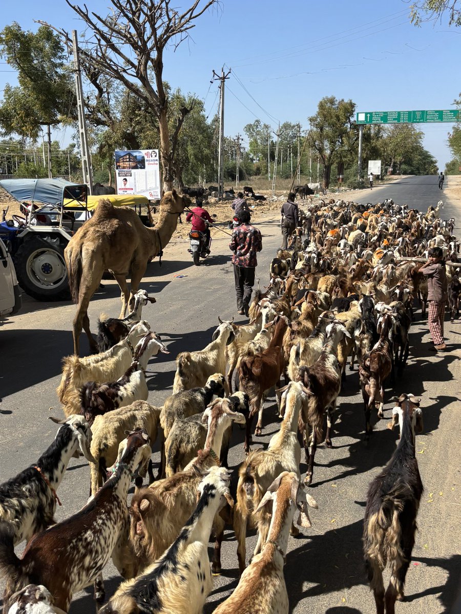 太郎丸 tweet media