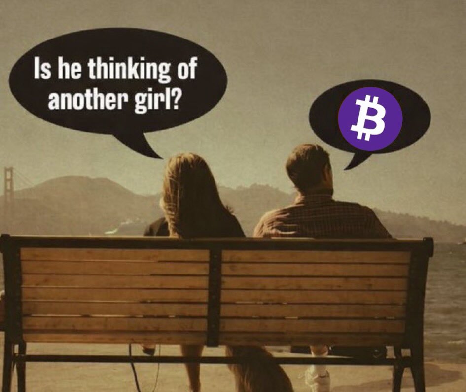 Purple Wizz 🟣💹🧲 tweet media