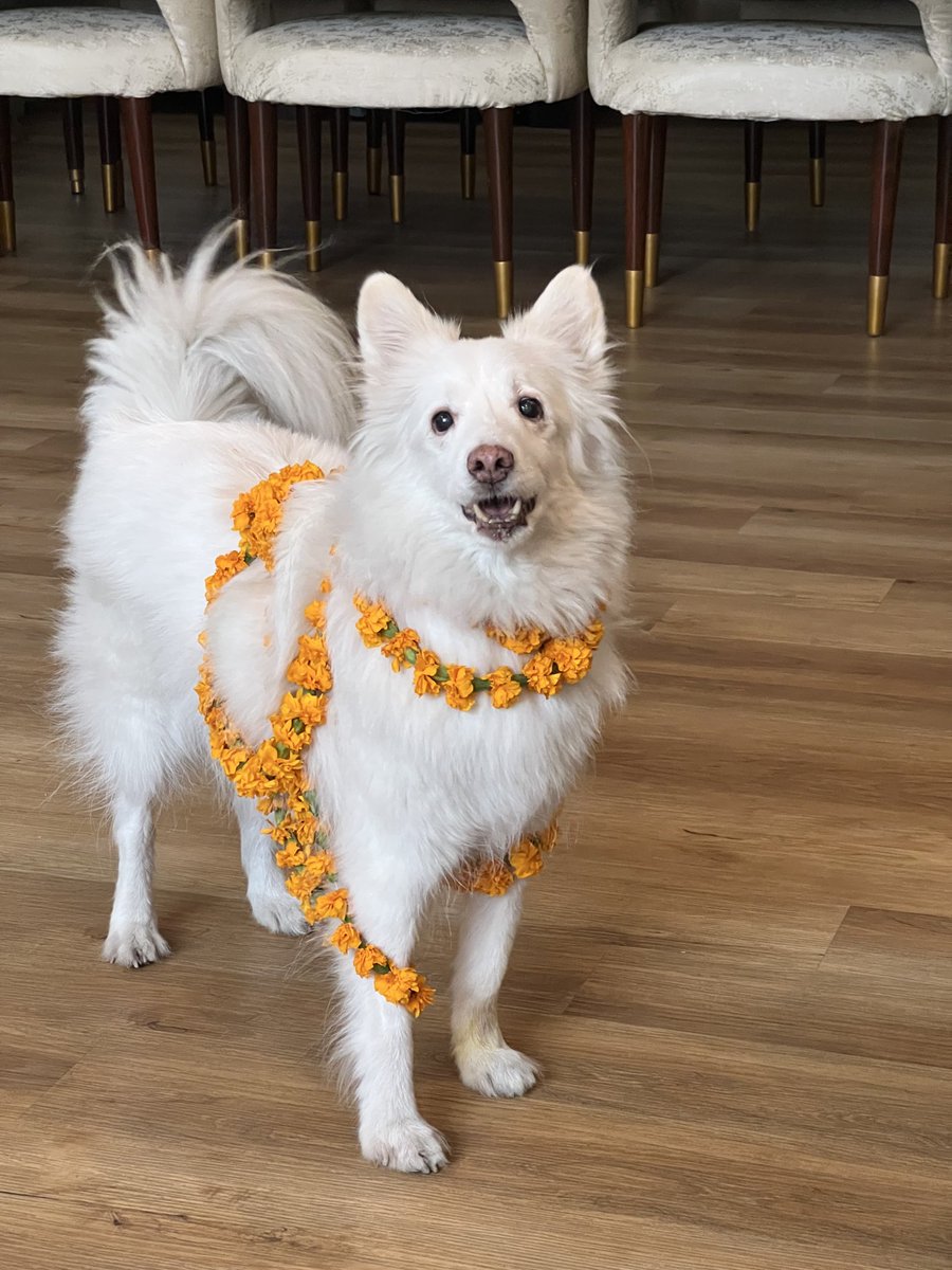 Pervaiz Rashid tweet media