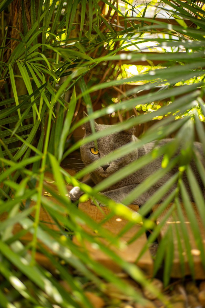 Je vous partage des petites photos que j’ai posté sur insta