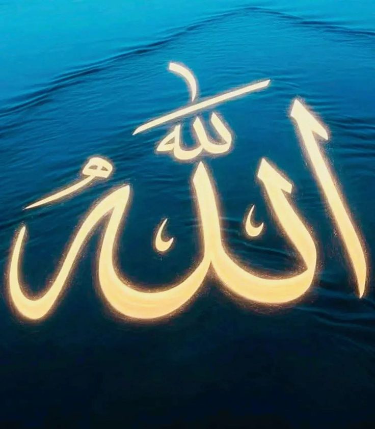 الله
الله
الله
الله
الله
الله
الله
الله
الله
الله
الله
الله
الله
الله
الله
الله
الله
الله
الله
الله
الله
الله
الله
الله
الله
الله
الله
الله
الله
الله
الله
الله
الله
الله
الله
الله
الله
الله
الله
الله
الله
الله
الله
الله
الله
الله
الله
الله
الله
الله
الله
الله