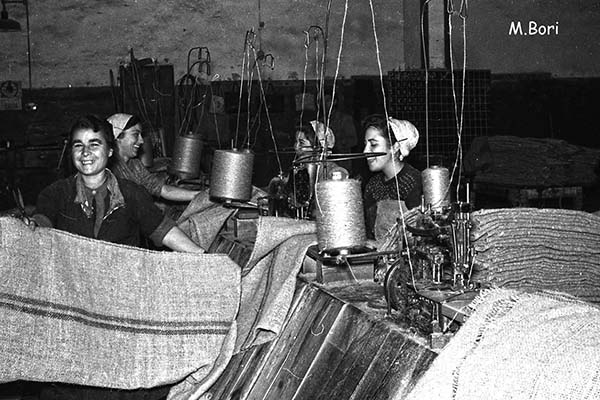 Maria Nicolau tweet media