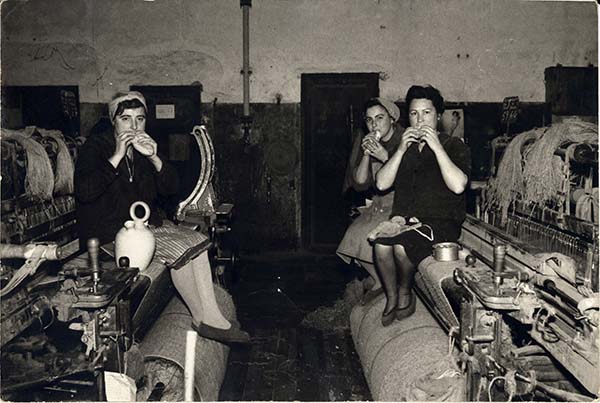 Maria Nicolau tweet media