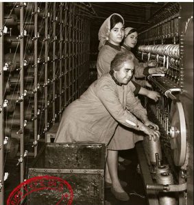 Maria Nicolau tweet media