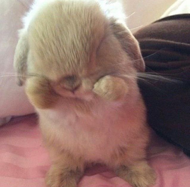 animalpopular9's tweet photo. https://t.co/aNEs3OeQeB