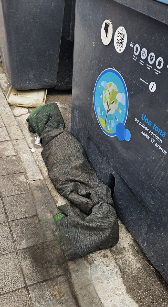 Patricia tweet media