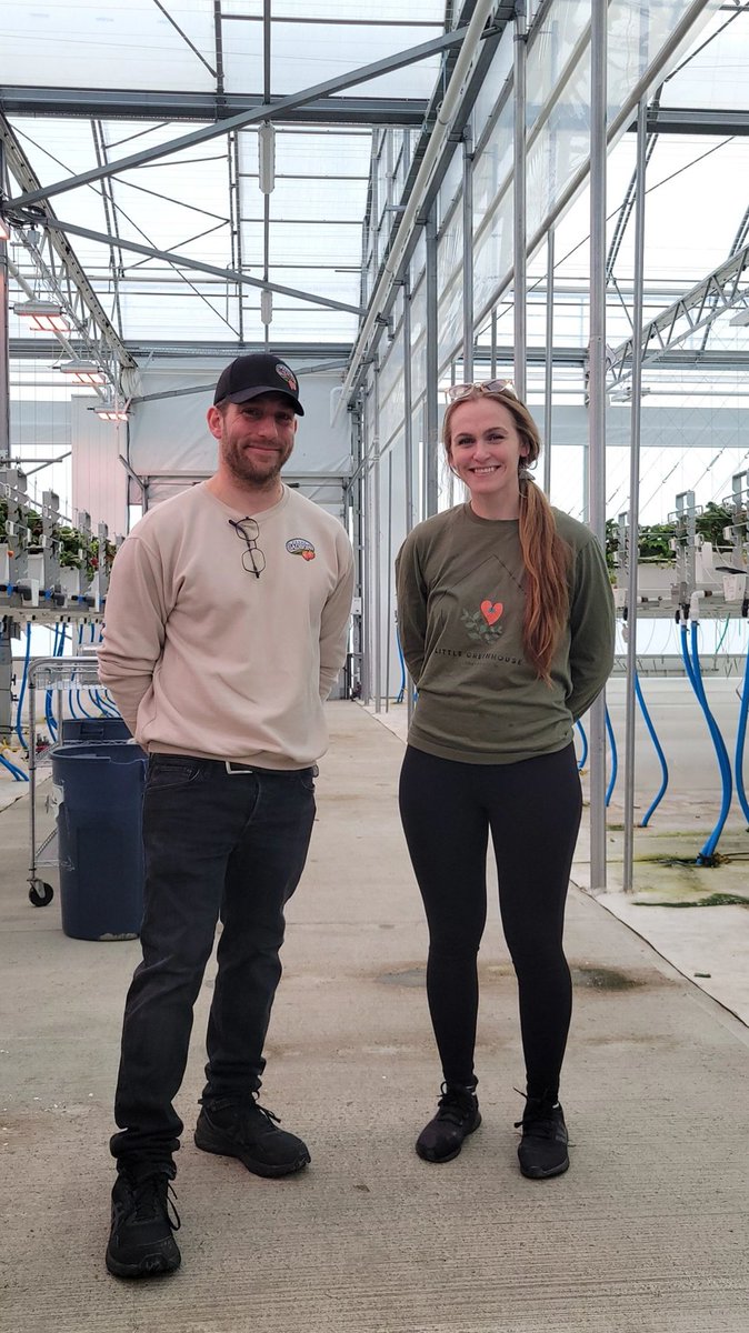 Corenthin_Cha's tweet photo. This time talking about #hydroponic year-round #strawberry🍓 cultivation, epic yields (15-17kg/m2), and of course how to make a profitable system in a #LUMINOSA gutter connected poly #greenhouse by #Harnois at Ferme Gadbois in Quebec, Canada 🇨🇦 (#CEA) https://t.co/Hy8SkvwYRL