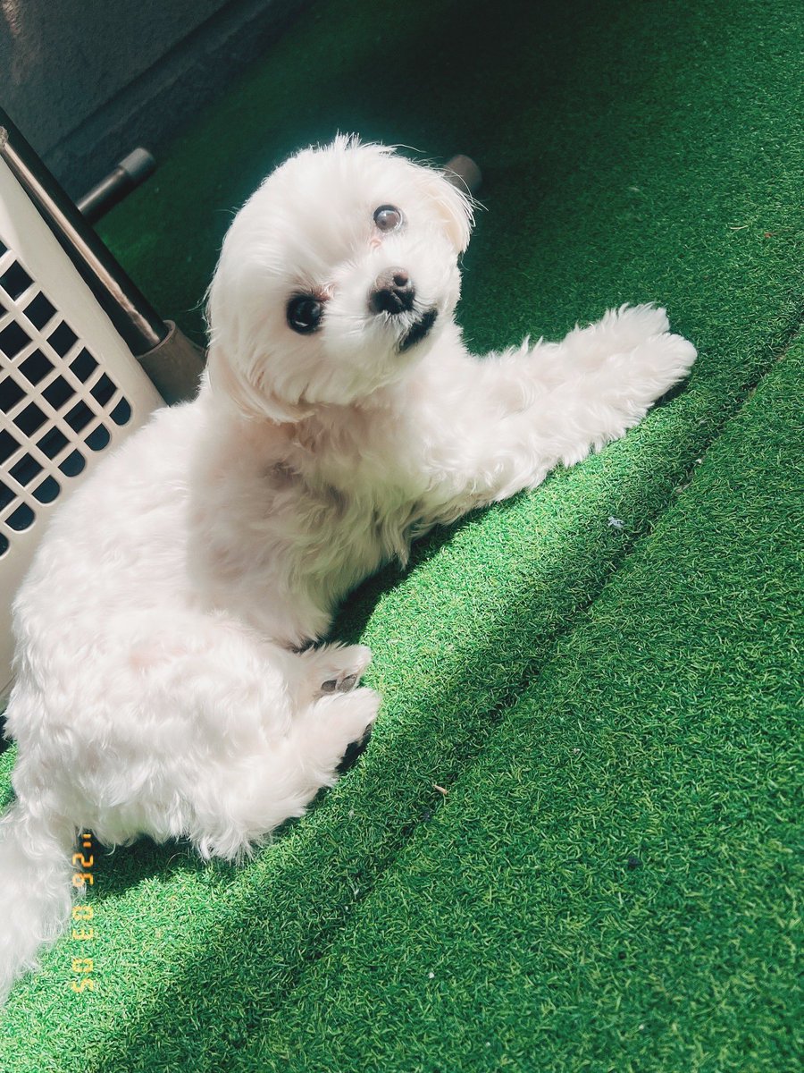 yukko1112's tweet photo. I've been trying out this film processing app lately, and it's pretty cool.
I gotta turn role models into reality.

最近フィルム加工のアプリを使ってみてるんだけどいい感じ🎞️
憧れやお手本は形にしていかなきゃね🩵

#FIMO #フィルムカメラ #recentpost https://t.co/2j4cAruzt6